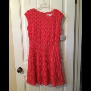NWT feminine lovely coral lace dress with pockets!